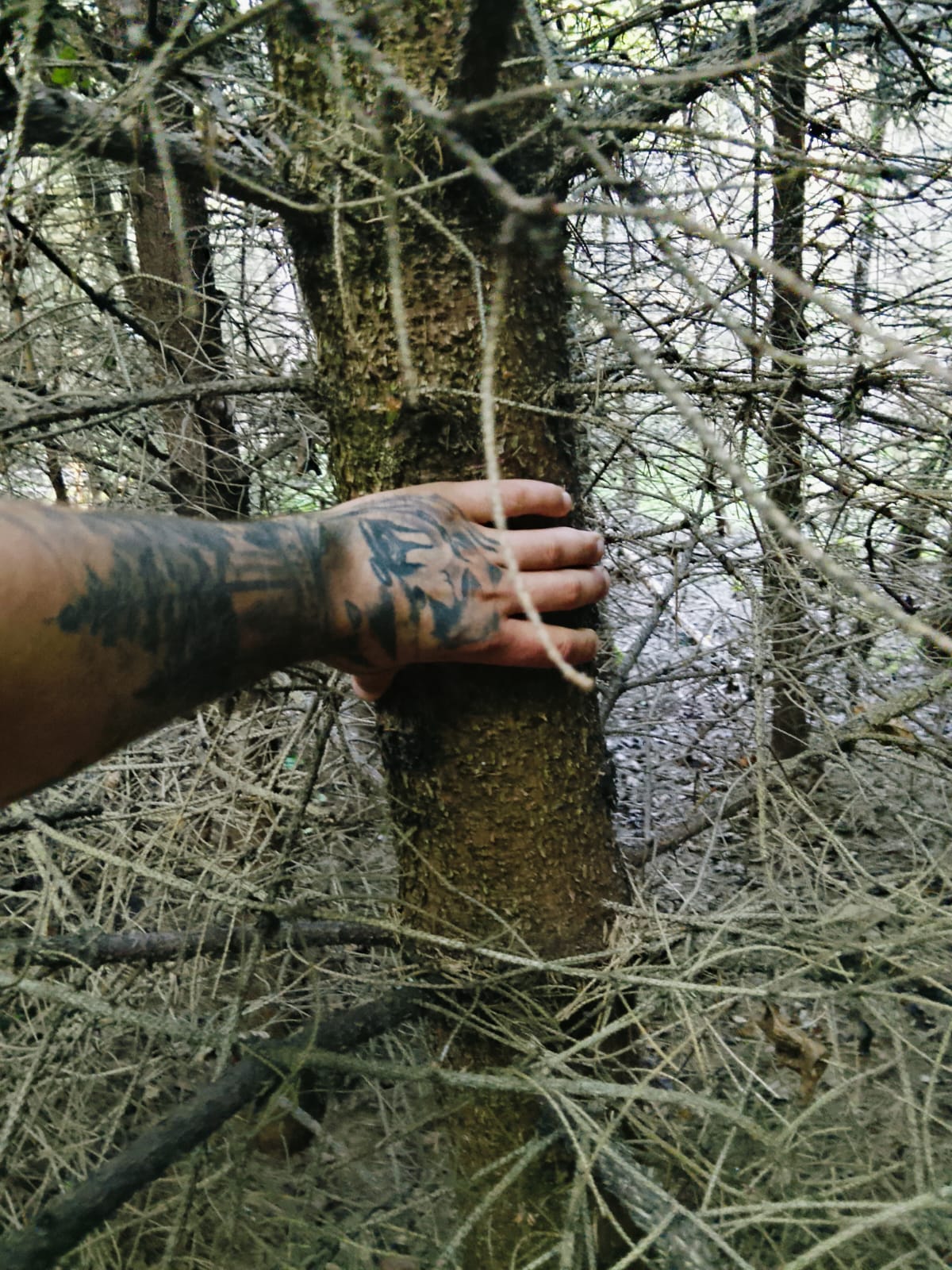 whatsapp image 2026 07 21 at 22.09.03 (1)