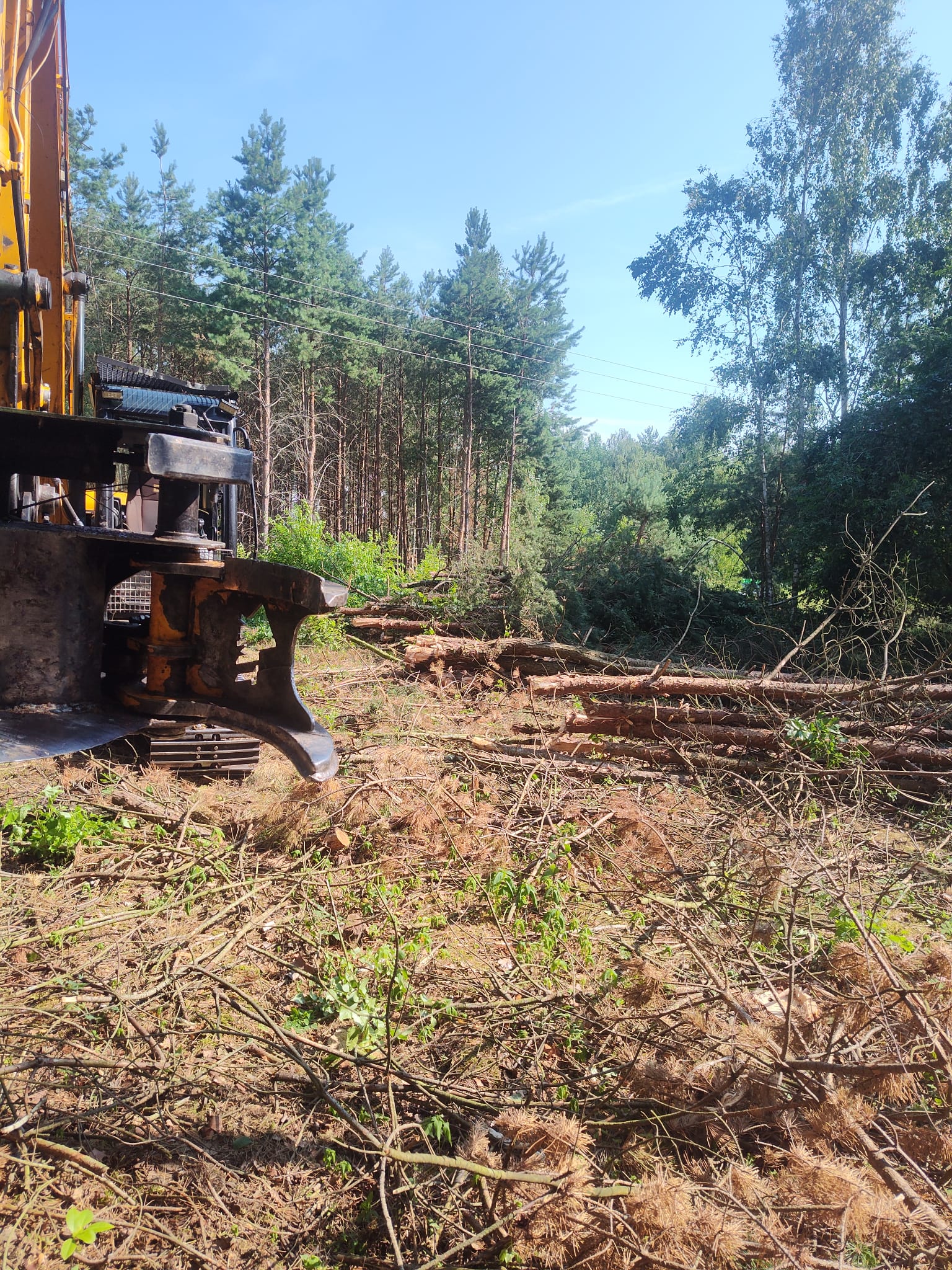 whatsapp image 2026 07 21 at 22.09.06 (2)
